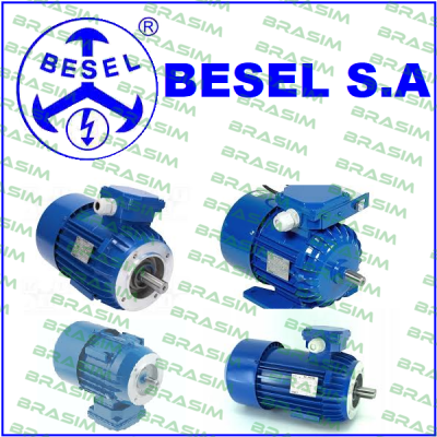 BESEL S.A.-Cutting inserts and screws set for motor SEMKg 80-2 price