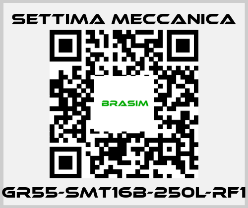 Settima Meccanica-GR55-SMT16B-250L-RF1 price