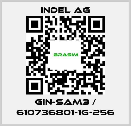 INDEL AG-GIN-SAM3 / 610736801-1G-256 price