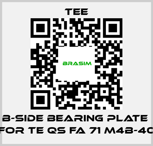 TEE-B-side bearing plate  for TE QS FA 71 M4B-40 price