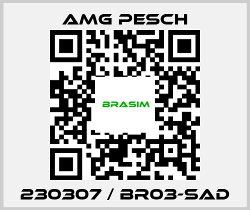 AMG Pesch-230307 / BR03-SAD price