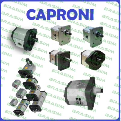 Caproni-Seal kit for pump 20C19X301UN. price