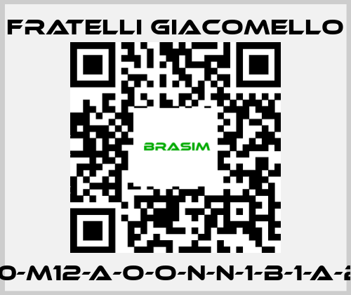 Fratelli Giacomello-LV/E-S2-250-M12-A-O-O-N-N-1-B-1-A-2-0-0-A-0-0 price