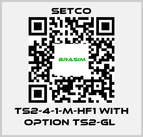 SETCO-TS2-4-1-M-HF1 WITH OPTION TS2-GL  price