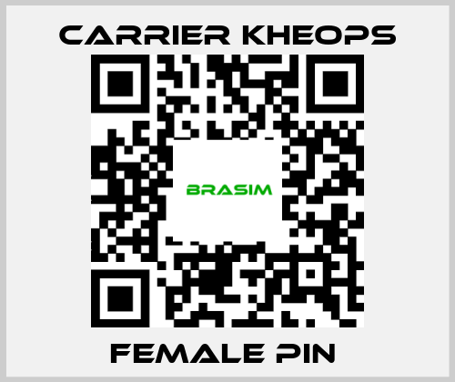 Carrier Kheops-FEMALE PIN  price