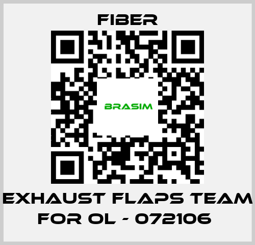 Fiber-Exhaust flaps team for OL - 072106  price