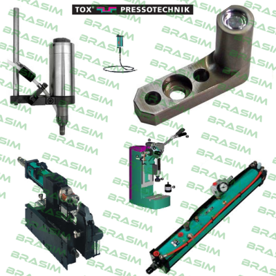 Tox Pressotechnik-S 100.300.30D (Q-S Series)  price