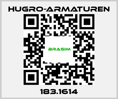 Hugro-Armaturen-183.1614 price