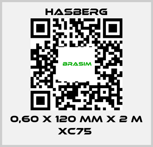 Hasberg-0,60 X 120 MM X 2 M XC75  price