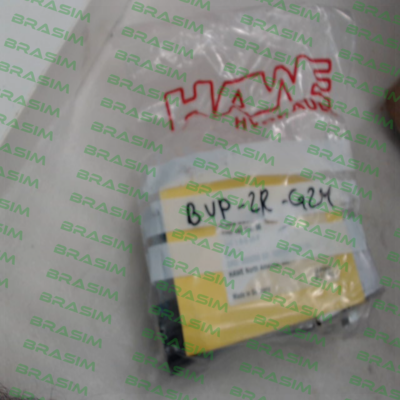 Hawe-BVP-2R-G24 price