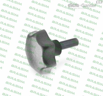 Elesa Ganter-GN 6336.4-ST-40-M8-40 price