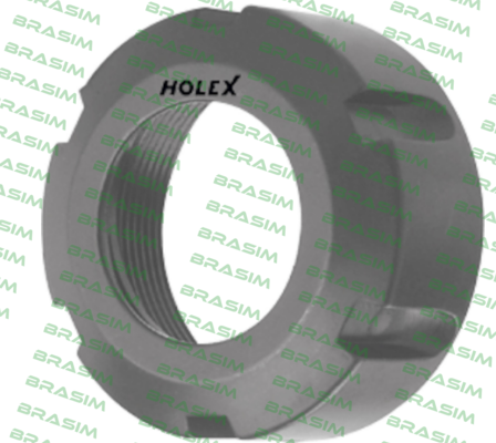 Holex-309580 32 price