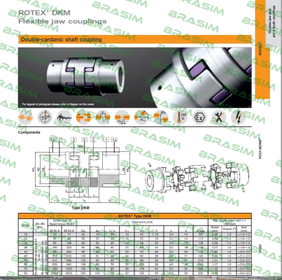 Rotex-D02090018  price