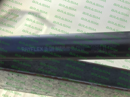 Rayflex-512404   price