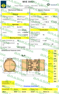 Oli-EN60300075A0JA0000  Type MVE 3000/1 price