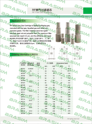 Fiorentini-G2.0 Filtering Element price