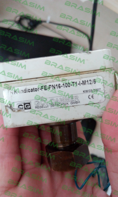 Goldammer-FE-PN16-100-T1-I-M12/5 price