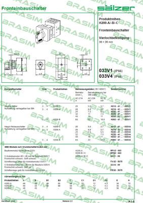 Salzer-H263-41300-033V4 price