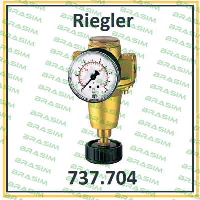 Riegler-P/N: 100893 Type: 737.704 price