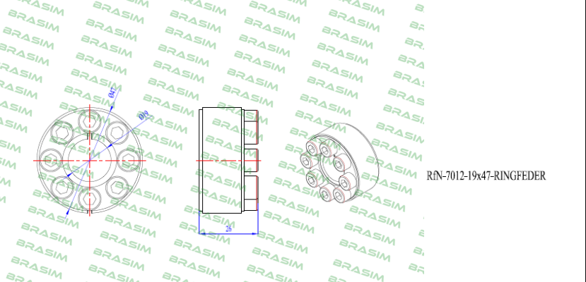 Ringfeder-RfN7012 19X47  price