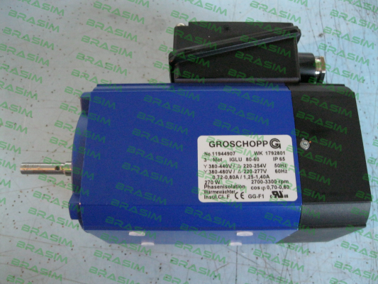 Groschopp-IGLU 80 60 + VE31-G-R-5 i= 38:1 price