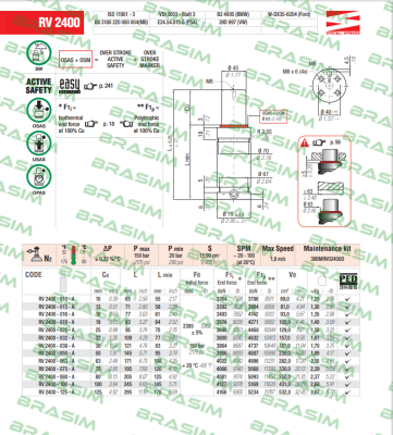 Special Springs-RV2400-038-A price