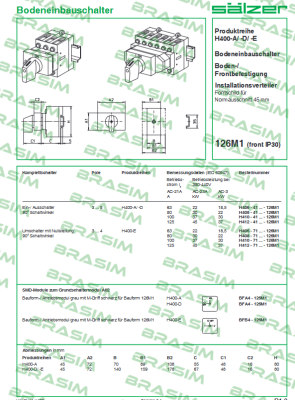 Salzer-H410-41300-126M1 price