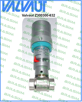 Valvaut-Z300300 price