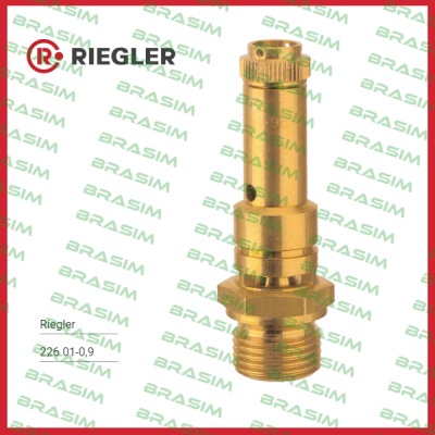 Riegler-226.01-0,9 price