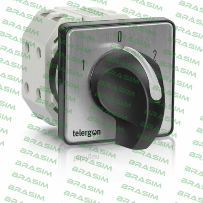 Telergon-T-0004000402E1N1 price