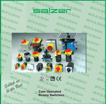 Salzer-61131 price