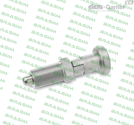 Elesa Ganter-GN 617.1-10-AK price