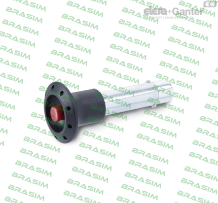 Elesa Ganter-GN 114.2-6-60 price