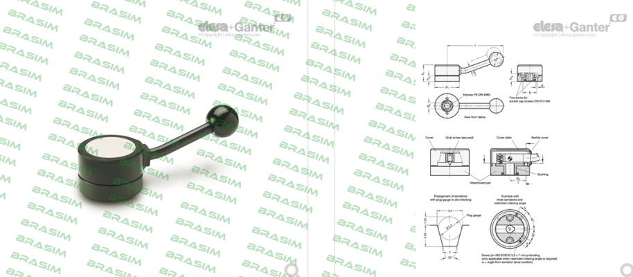 Elesa Ganter-GN-215-60-K16-B price