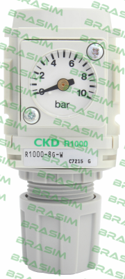 Ckd-R1000-8G-G3 price