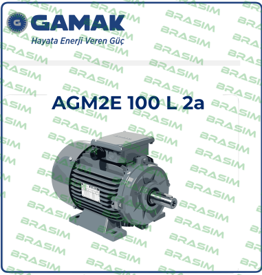 Gamak-2007 177409 AGM 100 L 2 price