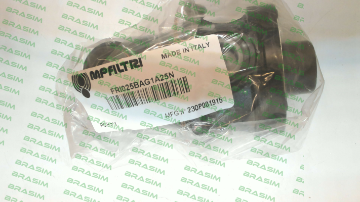 MP Filtri-10860 / FRI-025-B-A-G1-A25-N-P01 price